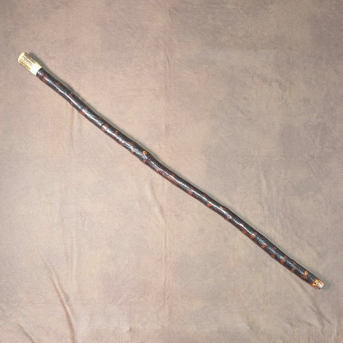 英国アンティーク アントラーポンメルハンドル ステッキ 杖 88cm